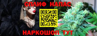 спиды Малгобек