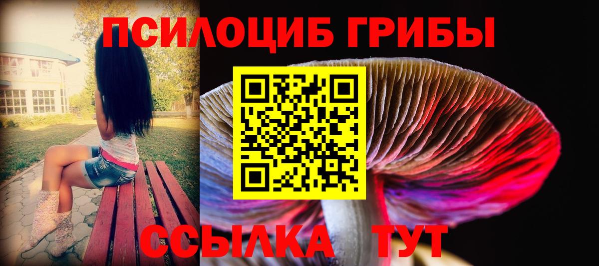 Галлюциногенные грибы мухоморы  Вход с VPN  Галлюциногенные грибы MAGIC MUSHROOMS  Елизово 